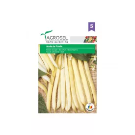 Bokorbab Aurie de Turda 25g