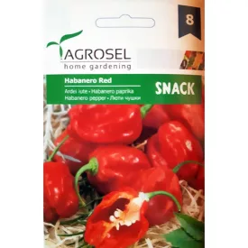 Chili paprika vetőmag Habanero Piros 20 szem