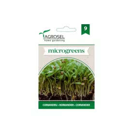Koreánder Mikrozöldség mag 4g