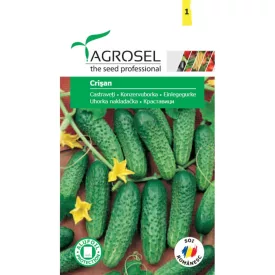 Uborka vetőmag Crisan 1,4g