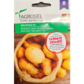 Burgonya vetőmag SOLHY012 F1 drazsírozott 8szem