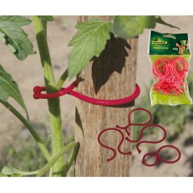 Kötöző ParadicsomTomatoclip 25 db-os