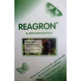 Reagron Nyerges szőlőmoly alapcsapda