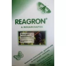 Reagron Nyerges szőlőmoly alapcsapda