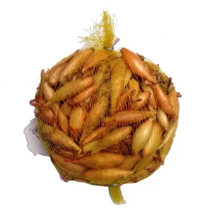 Dughagyma Sonkahagyma Tavaszi 250g