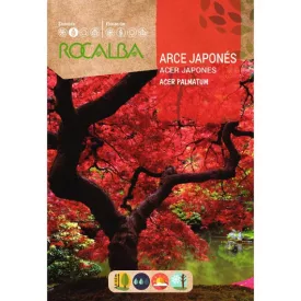 Japán juhar mag 0,5g