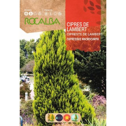 Monterey ciprus mag 1g