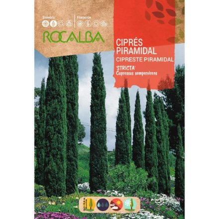 Európai ciprus mag 2g