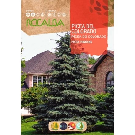 Ezüstfenyő mag 0,5g