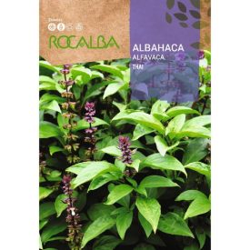 Szent bazsalikom mag 1g