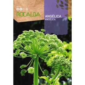 Angelica mag 1g