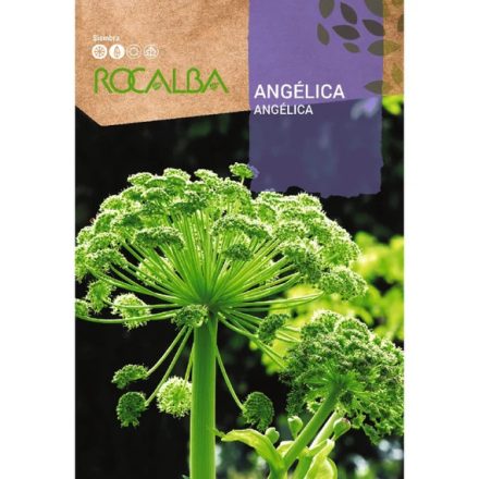 Angelica mag 1g