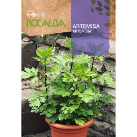 Fekete Üröm mag 1g