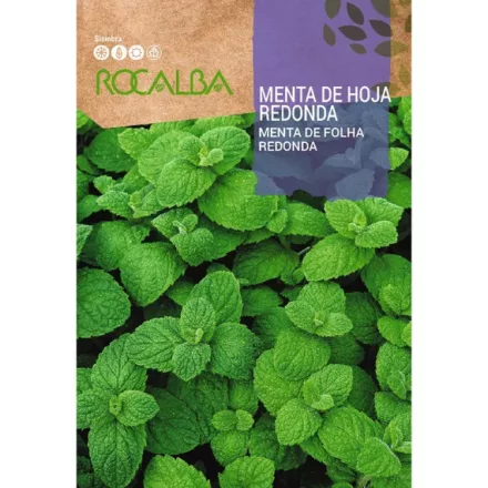 Menta kerek levelű vetőmag 0,5g