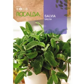 Zsálya vetőmag 2g