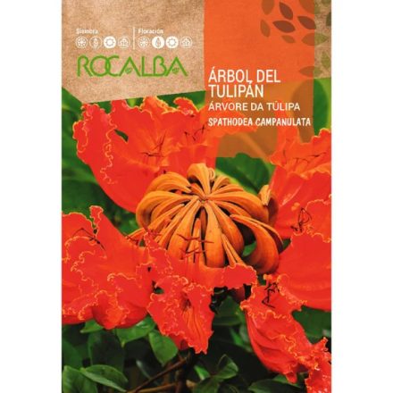 Afrikai tulipánfa mag 0,5g