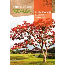 Pillangófa mag 1g