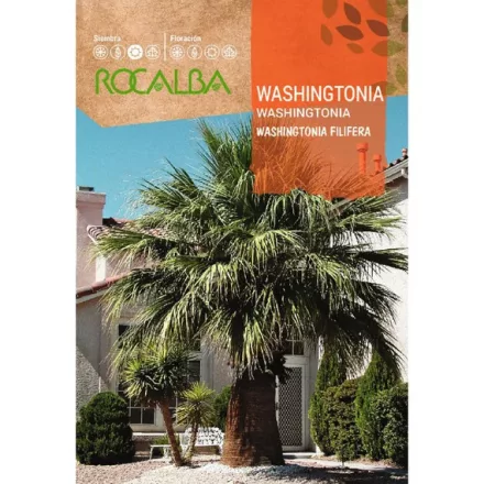 Washington pálma mag 1g