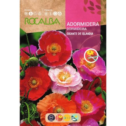 Izlandi mák virágmag színkeverék 1g