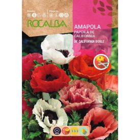 Díszmák virágmag California Double 2g