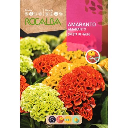 Kakastaréj virágmag színkeverék 2g