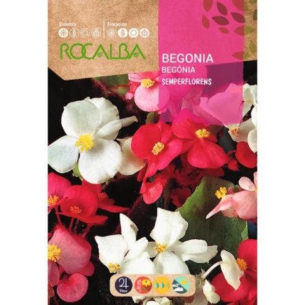 Begonia virágmag színkeverék 0,1g
