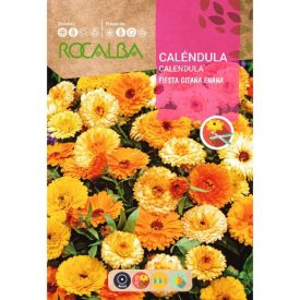 Körömvirág virágmag  Fiesta Gitana Enana 3g