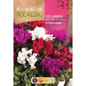 Ciklámen virágmag színkeverék 0,1g