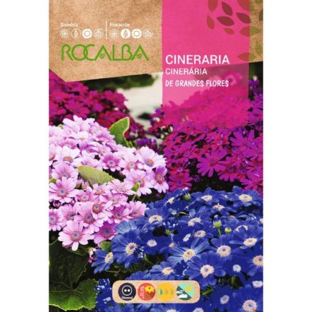 Cineraria virágmag 0,05g