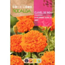 Bársonyvirág virágmag Petite Orange D.Verano 4g