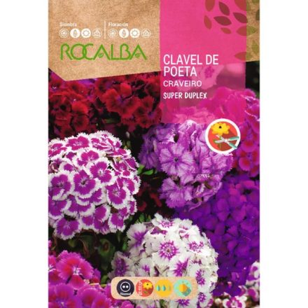 Törökszegfű virágmag super duplex 4g