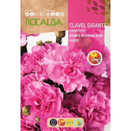 Chabaud Szegfű virágmag  Sötétrózsaszín 1g