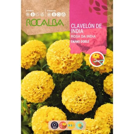 Bársonyvirág virágmag  Enano double 4g