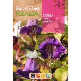 Serleglonc virágmag 1g