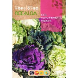 Díszkáposzta virágmag 1g