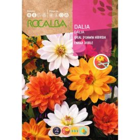 Dália virágmag D'unwin Doble 2g