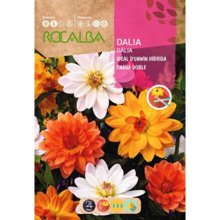 Dália virágmag D'unwin Doble 2g