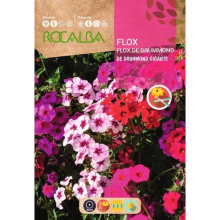 Lángvirág virágmag színkeverék 2g