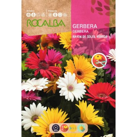 Gerbera virágmag színkeverék 0,1g