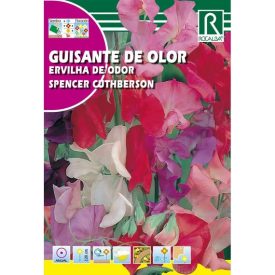 Szagos bükköny virágmag Spencer Cuthberson 10g