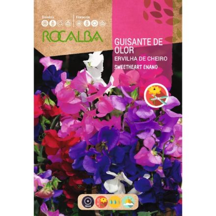 Szagos bükköny virágmag Sweetheart Enano 3g