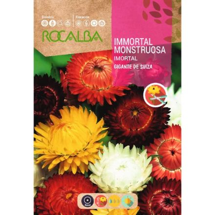 Szalmarózsa virágmag Geante De Suisse 3g