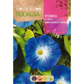 Hajnalka virágmag világoskék 10g