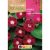Hajnalka virágmag Piros 6g