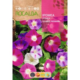 Hajnalka virágmag színkeverék 10g