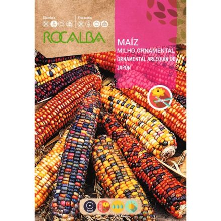 Díszkukorica virágmag 10g