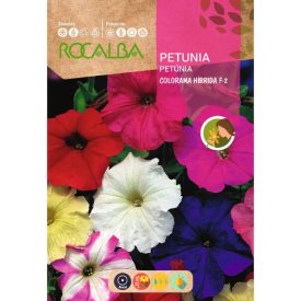 Petunia nagyvirágú virágmag színkeverék 0,5g