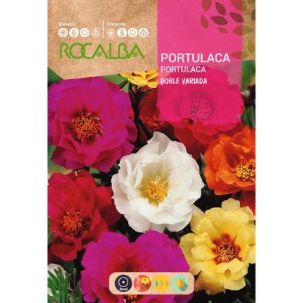 Porcsinrózsa virágmag teltvirágú színkeverék 1g