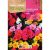 Porcsinrózsa virágmag színkeverék 1g