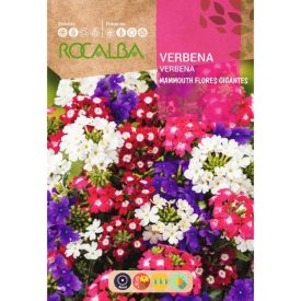 Vasfű virágmag színkeverék 1g